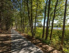 Санаторно-курортный комплекс Плисса, Территория - фото 9