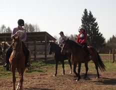Центр верховой езды Двор Старинки, Соревнования - фото 20