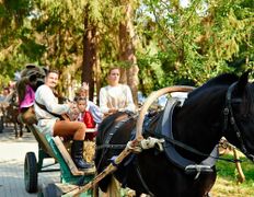 Загородный клуб Green Ville (Грин Вилль), Детский день рождения - фото 3