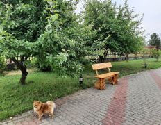 Сауна люкс VIP сауна на Явара и Калины, Беседка лето-зима - фото 4