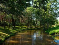 Санаторий Сосновый бор, Территория - фото 8