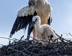 null Коттедж на озере Должа, Пейзажи - фото 16