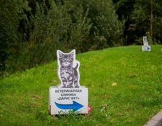 Ветеринарная клиника Дарис Вет, Галерея - фото 18