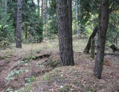 Клуб активного отдыха LaserBattle (ЛазерБаттл), Наши полигоны - фото 19