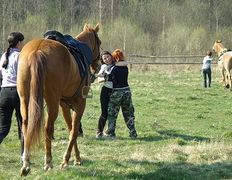 Центр верховой езды Двор Старинки, Соревнования - фото 13