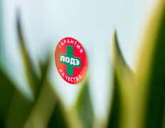 Медицинский центр ЛОДЭ, Галерея - фото 2