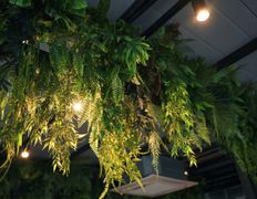 Гастропаб-караоке ОСОБНЯК, Терраса - фото 16