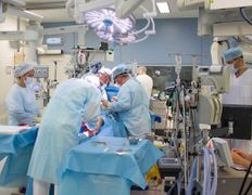 null «Республиканский клинический медицинский центр» Управления делами Президента Республики Беларусь, Галерея - фото 16