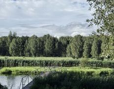 База отдыха Елки иголки, Территория - фото 15