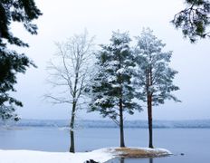 Санаторно-курортный комплекс Плисса, Проживание - фото 14