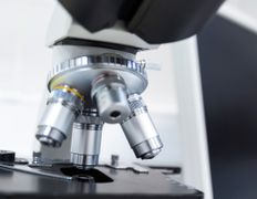 null Ветеринарный центр доктора Базылевского А.А. Филиал «Могилев», Галерея - фото 15