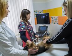 Ветеринарный центр КакадуВет, Галерея - фото 8