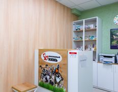 Ветклиника Хвостатый нянь, Галерея - фото 4