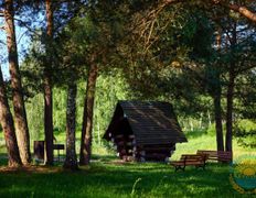 Санаторий Сосновый бор, Территория - фото 9