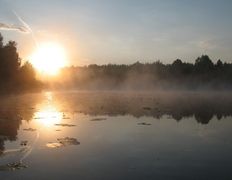 Река Березина, Река - фото 2