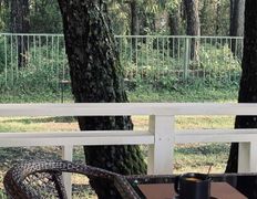 База отдыха Елки иголки, Территория - фото 18