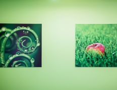 Стоматология ВиПДента, Галерея - фото 8