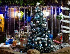 Загородное кафе Очаг, Новый год 2026 - фото 14