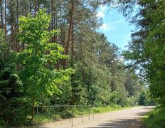 Автошкола Минская РОС ДОСААФ / УП «РУСЦ» ДОСААФ, Автодром СТК «Боровая» - фото 5