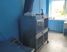 Ветеринарная клиника ВЕК, Галерея - фото 3