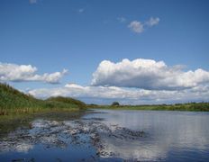 Река Березина, Река - фото 3