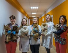 Ветеринарный центр КакадуВет, Галерея - фото 13