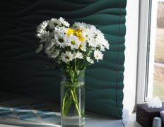 Кафе прибалтийской кухни Паланга, Вечер живой музыки - фото 3