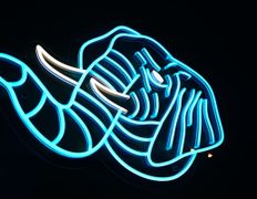 Пространство Джуманджи, Интерьер - фото 9