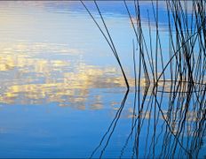 Рыболовно–туристический комплекс Кромань, Водоем, рыбалка - фото 3