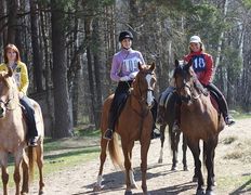 Центр верховой езды Двор Старинки, Соревнования - фото 8