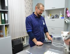 Ветеринарная клиника ЭкспертВет, Галерея - фото 13