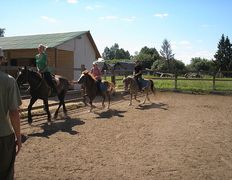 Центр верховой езды Двор Старинки, Прокат - фото 20