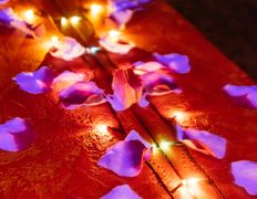 Стриптиз-клуб Night Fantazy (Ночные Фантазии), Интерьер - фото 17