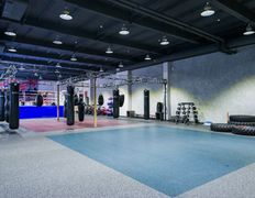 Многофункциональный физкультурно-оздоровительный комплекс Мандарин, Единоборства - фото 3