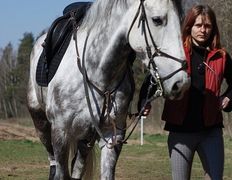 Центр верховой езды Двор Старинки, Соревнования - фото 7