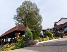 Агроусадьба У Истока, Территория - фото 9