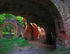 Достопримечательности Высоковский замок, Руины замка - фото 5