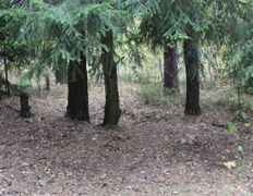 Клуб активного отдыха LaserBattle (ЛазерБаттл), Наши полигоны - фото 20