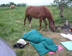 Центр верховой езды Двор Старинки, Походы - фото 19