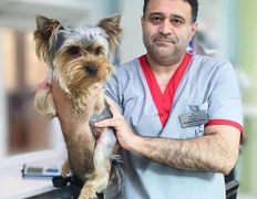 Ветеринарная клиника ВетЗооЦентр, ВетЗооЦентр - фото 6