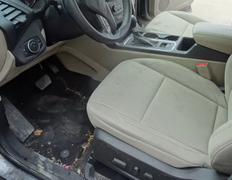 Автомойка Сивый Мерин, Химчистка - фото 2