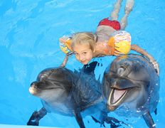 null Минский дельфинарий, Галерея - фото 10