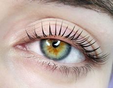 Салон красоты Pavlin Немига (Павлин), Ламинирование/ботокс ресниц - фото 3