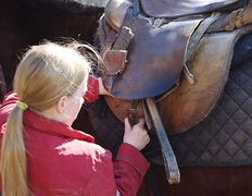 Центр верховой езды Двор Старинки, Соревнования - фото 6