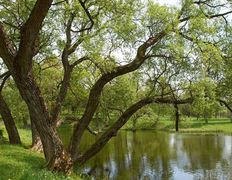 Музей Вязынка, Музей - фото 1