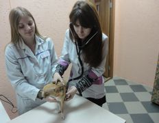 Ветеринарный центр Семь жизней, Галерея - фото 1