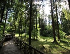 Республиканский горнолыжный центр Силичи, Канатная дорога и склоны - фото 4