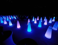 Ресторан выездного обслуживания Magic Catering (Мэджик Кейтеринг), Мероприятие Гербалайф - фото 7