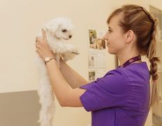 Ветеринарная клиника и аптека  Дай Лапу, Галерея - фото 1