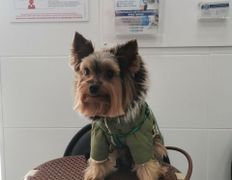 null Ветеринарный центр доктора Базылевского А.А. Филиал «Минск 24/7», Галерея - фото 8